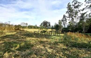 Imagem 4: Área de terra com 1,3h em Triunfo