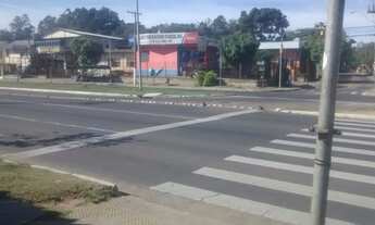 Imagem 4: Porto Alegre - Galpão/Depósito/Armazém - Agronomia