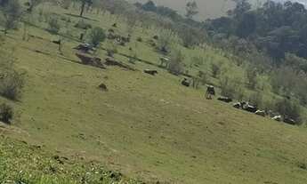 Imagem 5: Sítio 2 alqueires no Santa Adelaide em Tatuí-SP !! Oportunidade