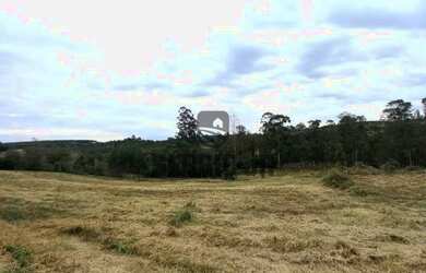 Imagem 7: Área de terra com 1,3h em Triunfo