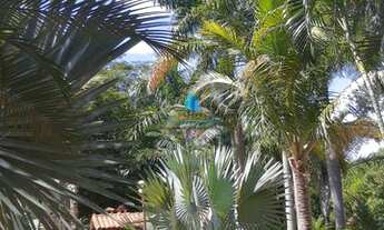 Imagem 3: Rancho à venda - Aparecida do Taboado/MS