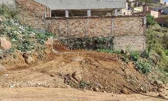 Imagem 5: Meio Lote Castanheira Santa Luzia