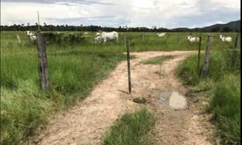 Imagem 2: Fazenda em Santo Antonio do leverger