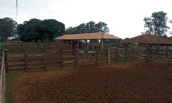 Imagem 3: PRESIDENTE BERNARDES - RURAL - Zona Rural