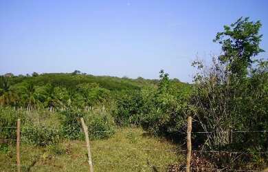 Imagem 7: Terrenos em Pium, próximos a Praia de Cotovelo !