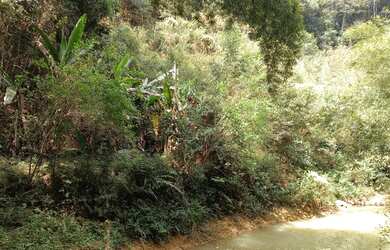 Imagem 7: Chácara à venda, 73.000 m² - Ilha Berger / Cachoeira do Pastor - Santa Maria de Jetibá/ES