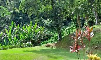 Imagem 4: Sítio 20.000 m² lindíssimo, casas, nascentes e cachoeira!