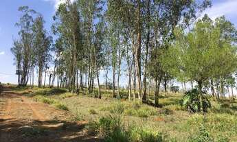 Imagem 4: Terreno para venda com 3.000 m2 em Quadra - SP