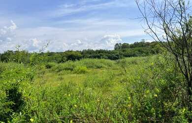 Imagem 3: Área para investidores, com 15 hectares