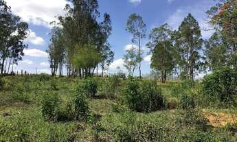 Imagem 5: Terreno para venda com 3.000 m2 em Quadra - SP