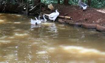 Imagem 4: Sitio em Rio Manso/MG. 60 Km de Betim e 75 km de BH. Com muita água