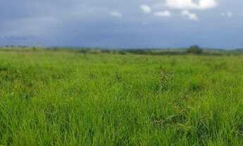 Imagem 2: FAZENDA À 70KM DE TANGARÁ DA SERRA à venda, 250000000 m² por R$ 320.000.000 - Zona Rural
