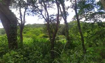 Imagem 2: Chácara 5.000m... 36km de Montes Claros