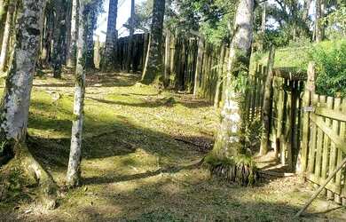 Imagem 2: Vendo terreno Comercial/Residencial - 450m2- Antonina-Pr