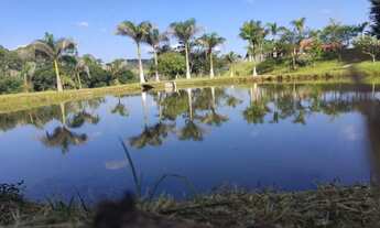 Imagem 2: WNS LOTES INCRÍVEIS POR R$40 MIL COM 1000m²