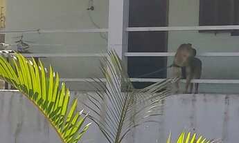 Imagem 3: Casa no bairro céu azul