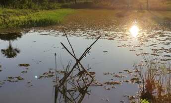 Imagem: Fazenda Lázaro 190 hectares em ITAPIÚNA-CE
