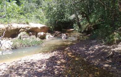 Imagem 3: Lote com água Terreno / lote com venda por R$45.000