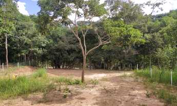 Imagem 4: Chacara em São Miguel do passa quatro na beira do rio dos bois a 90 km de Goiânia