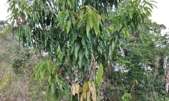 Imagem 2: Vendo ou troco Chácara com venda com preço sob consulta