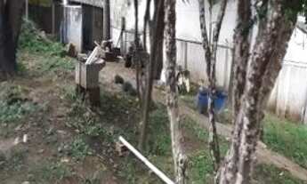 Imagem: Excelente Terreno Metro Santana