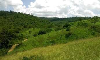 Imagem 2: Fazenda para venda. Com 1.419 ha em Jequitibá - Mundo Novo - BA