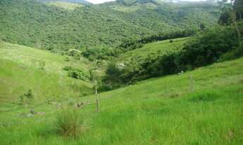 Imagem: Terreno de 270 ha para pecuária - ImaruíSC