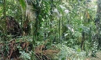 Imagem 11: Terreno à venda, 10000 m² por R$ 155.000,00 - Rio Sagrado - Morretes/PR