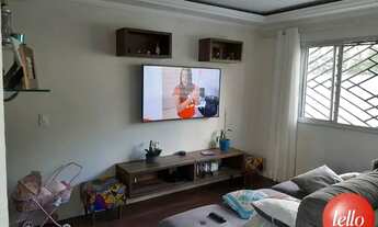 Imagem 1: São Paulo - Casa Padrão - Vila Prudente