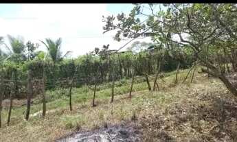 Imagem 3: Vende-se este terreno