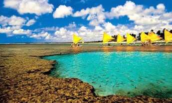 Imagem: Vendo apartamento em Porto de galinhas