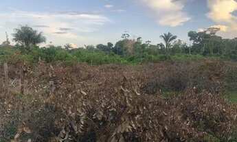 Imagem: Vendo ou troco terreno em Belterra 20de
