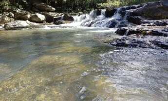 Imagem 5: Procurando uma fazendinha arrumada?