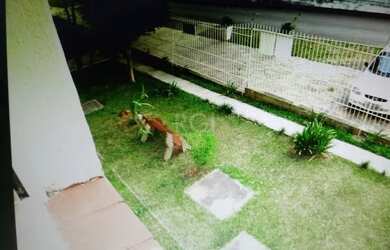 Imagem 7: Apartamento para Venda - 50m², 2 dormitórios, Praia de Belas