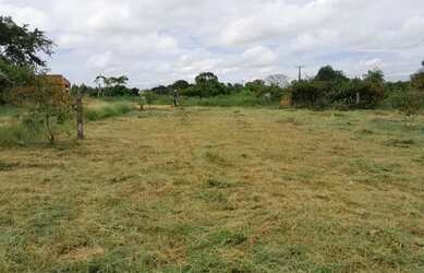 Imagem 4: Terreno em Alenquer