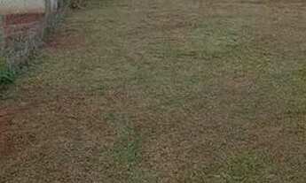 Imagem 3: Vendo chácara Chácara com venda por R$120.000