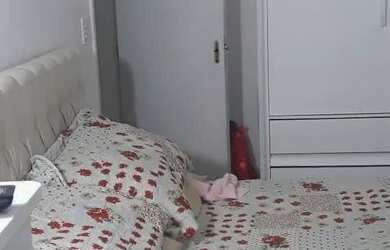 Imagem 3: Alugo/vendo casa no Parque Leopoldina