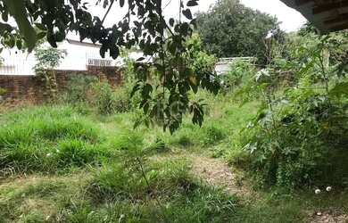 Imagem 2: Terreno para Venda - 0m², 0 dormitórios, Camaquã