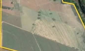 Imagem: Área Rural de 21 alqueires - Alto Alegre