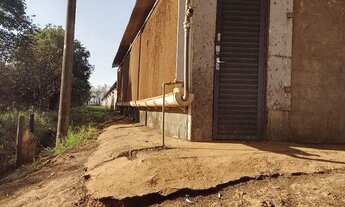 Imagem: Granja Frango de corte