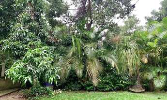 Imagem 7: Casa com 4 dormitórios à venda, 248 m² por R$ 1.300.000,00 - Mata Paca - Niterói/RJ