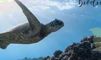 Imagem 4: Casa de condomínio para venda possui 153 metros quadrados com 3 quartos