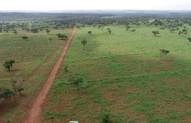 Imagem 5: Fazenda Para Vender com 1.500 Hectares em Formosa Da Serra Negra/MA