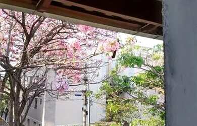 Imagem 6: Casa com 3 dormitórios à venda em Contagem