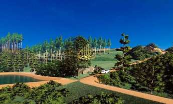 Imagem 3: TIJUCAS - Terreno Padrão - Oliveira