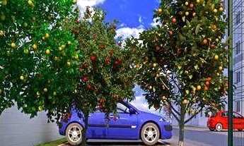 Imagem 5: Ana Claudia) Apartamento de 2 quartos Morada de Laranjeiras -