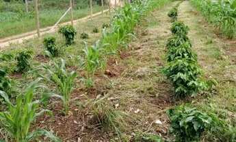 Imagem 5: Chácara sul de Minas 140.000