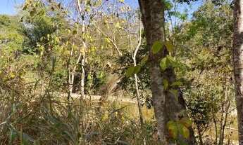 Imagem 6: Chácaras de dois hectares em Goiás velho rio vermelho!