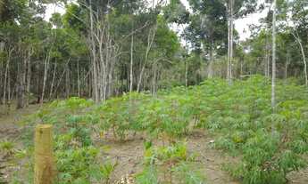 Imagem 3: Terreno e Chácara Itacaré Bahia