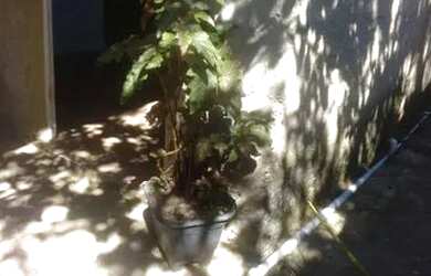 Imagem 3: Alugo casa em Santa Cruz